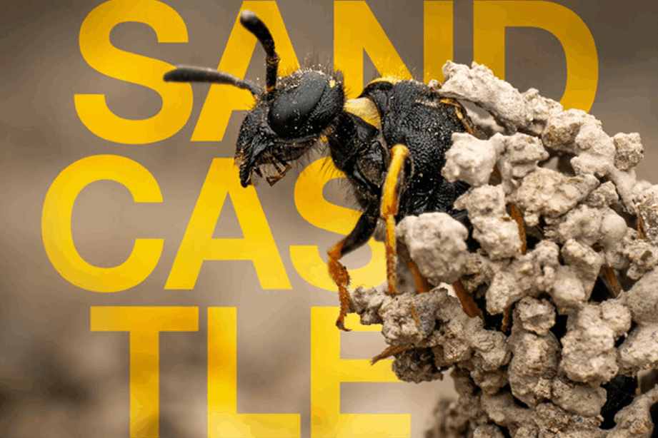 Nature Documentary